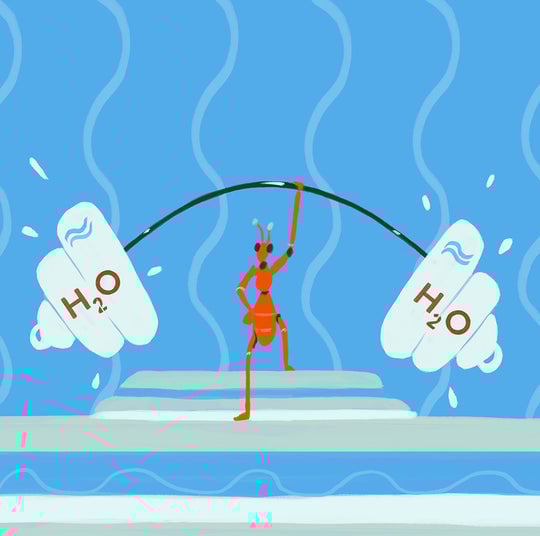 Image for What to Know About Hyaluronic Acid