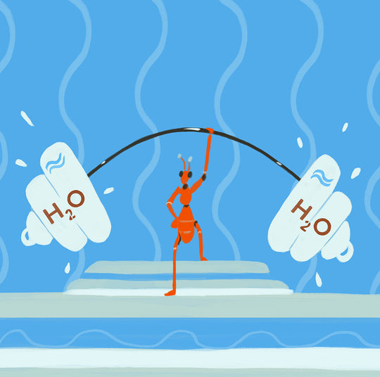 Image pour Ce qu'il faut savoir sur l'acide hyaluronique