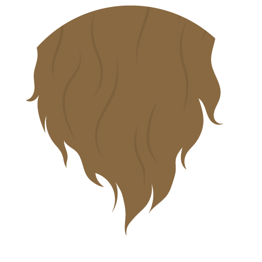 Illustration de longs cheveux bruns.