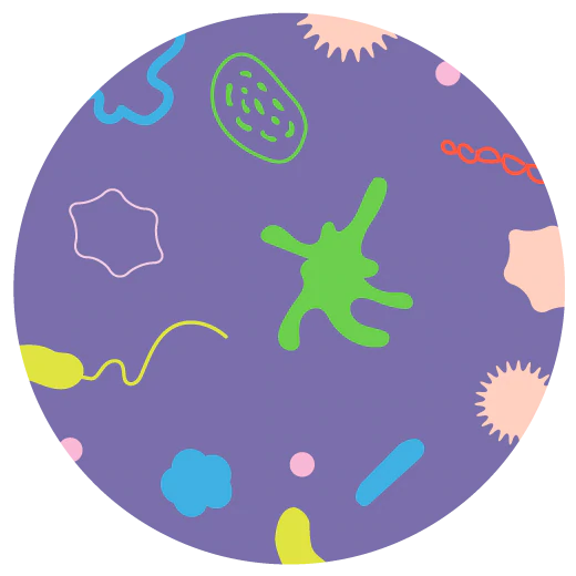 illustration of probiotics