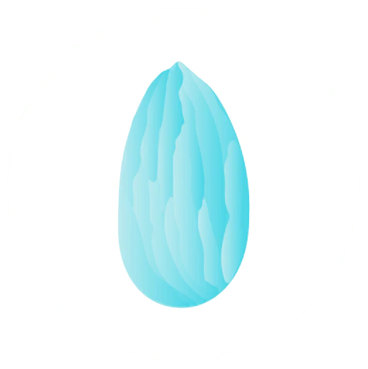 illustration in light blue of an almond nut