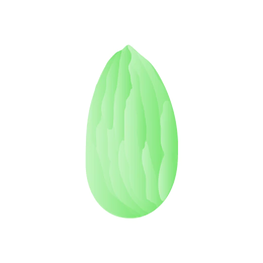 illustration in green of an almond nut