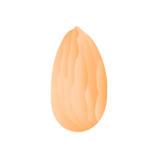 illustration d'une noix d'amande orange