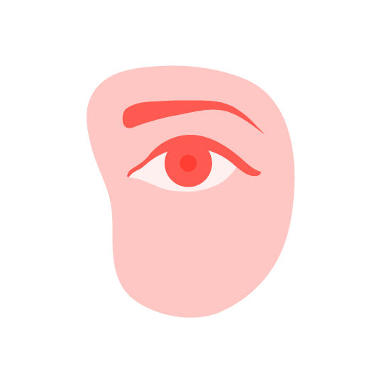 Illustration de la zone des yeux et des joues avec des lignes éclaircissantes sous l'œil.