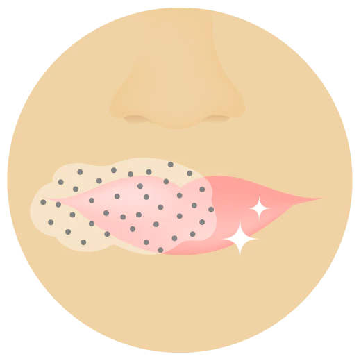 Illustration des lèvres d'une personne avec Slaai et Bamboo Booster sur une partie de ces lèvres